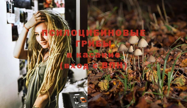 PSILOCYBIN Алексеевка
