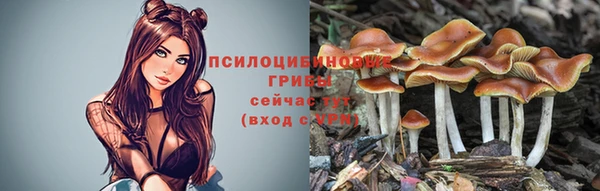 PSILOCYBIN Алексеевка
