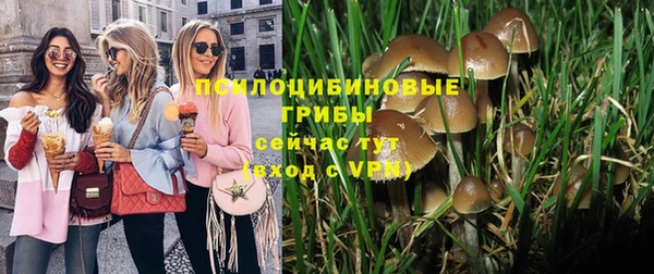 шишки Приозерск