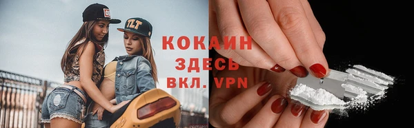 стафф Алексин