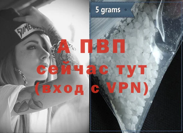 стафф Алексин