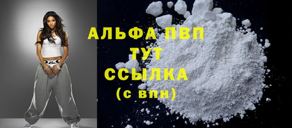 стафф Алексин