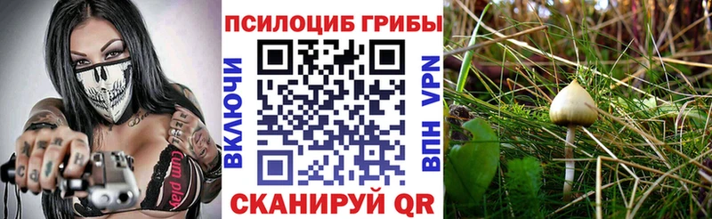 Псилоцибиновые грибы мухоморы  где найти   Комсомольск 